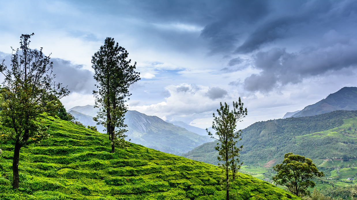 10 Beautiful Places to Visit in India in the Monsoon